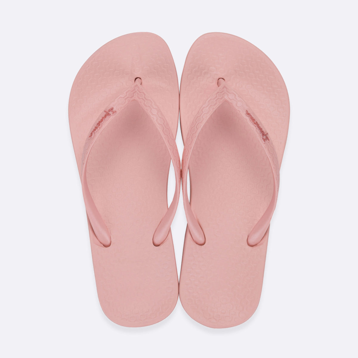 Anatomic Tan Colours