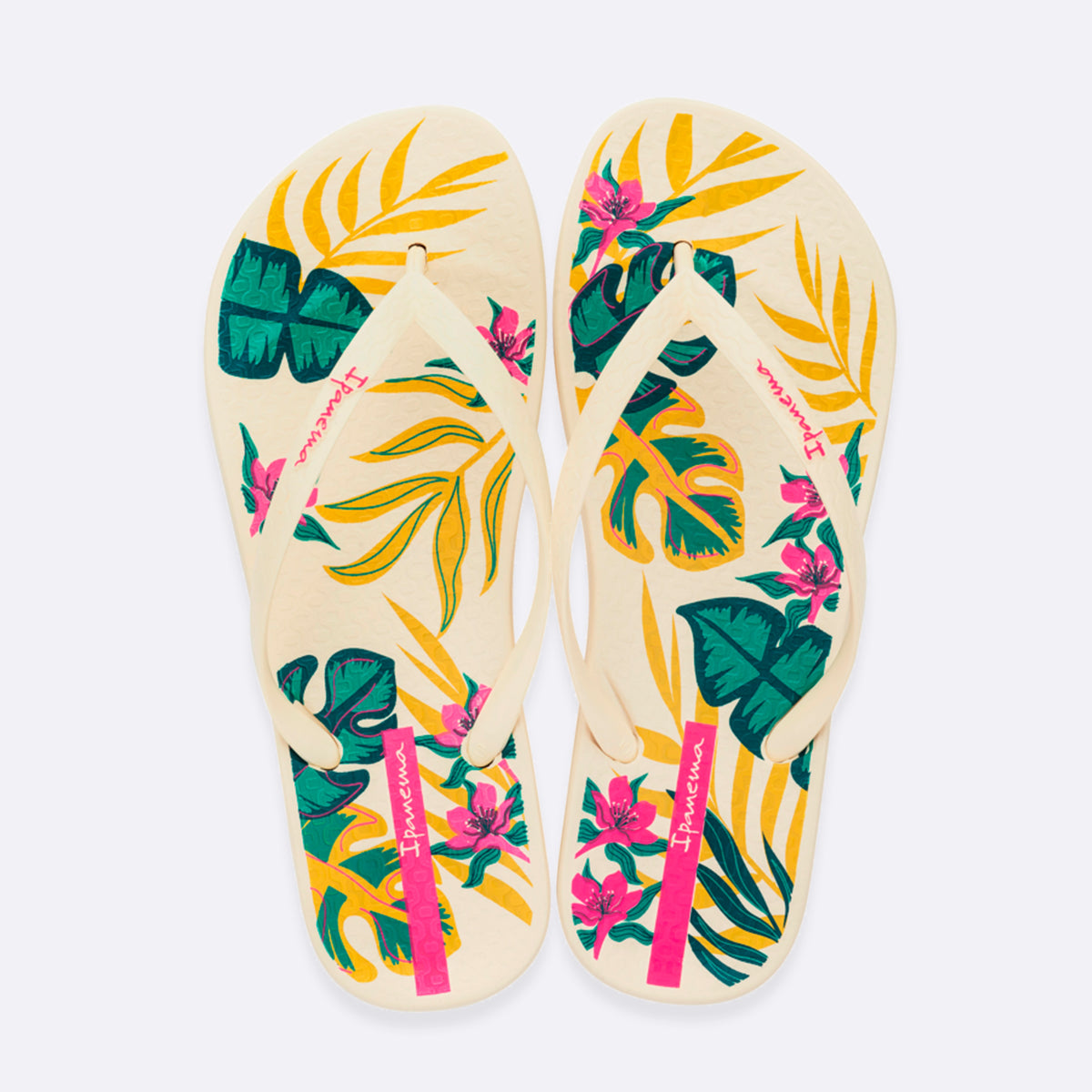 Anatomic Tropical Temas