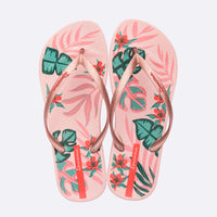 Anatomic Tropical Temas