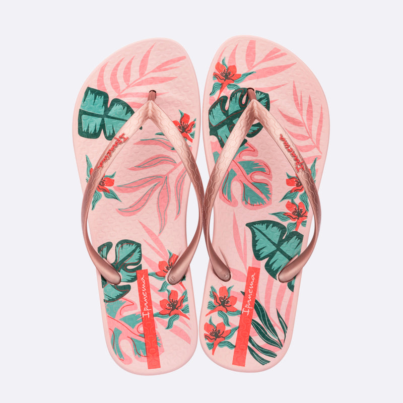 Anatomic Tropical Temas
