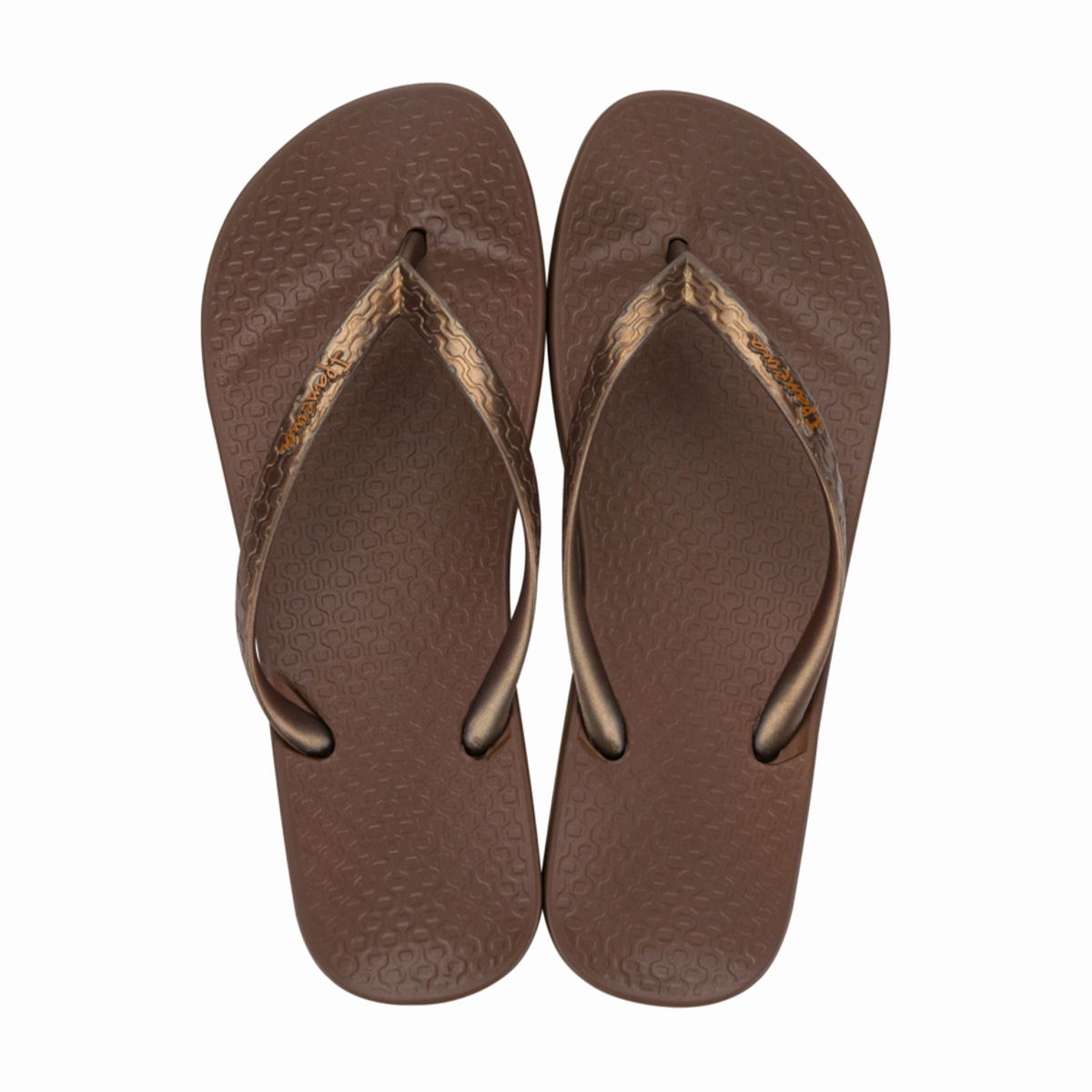 Ipanema Anatomica Tan Fem - Brown/Bronze