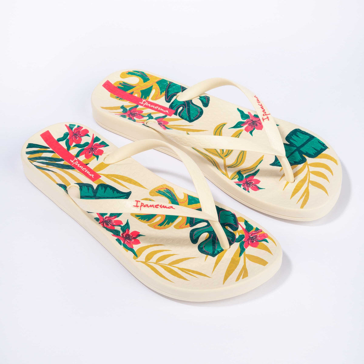 Anatomic Tropical Temas