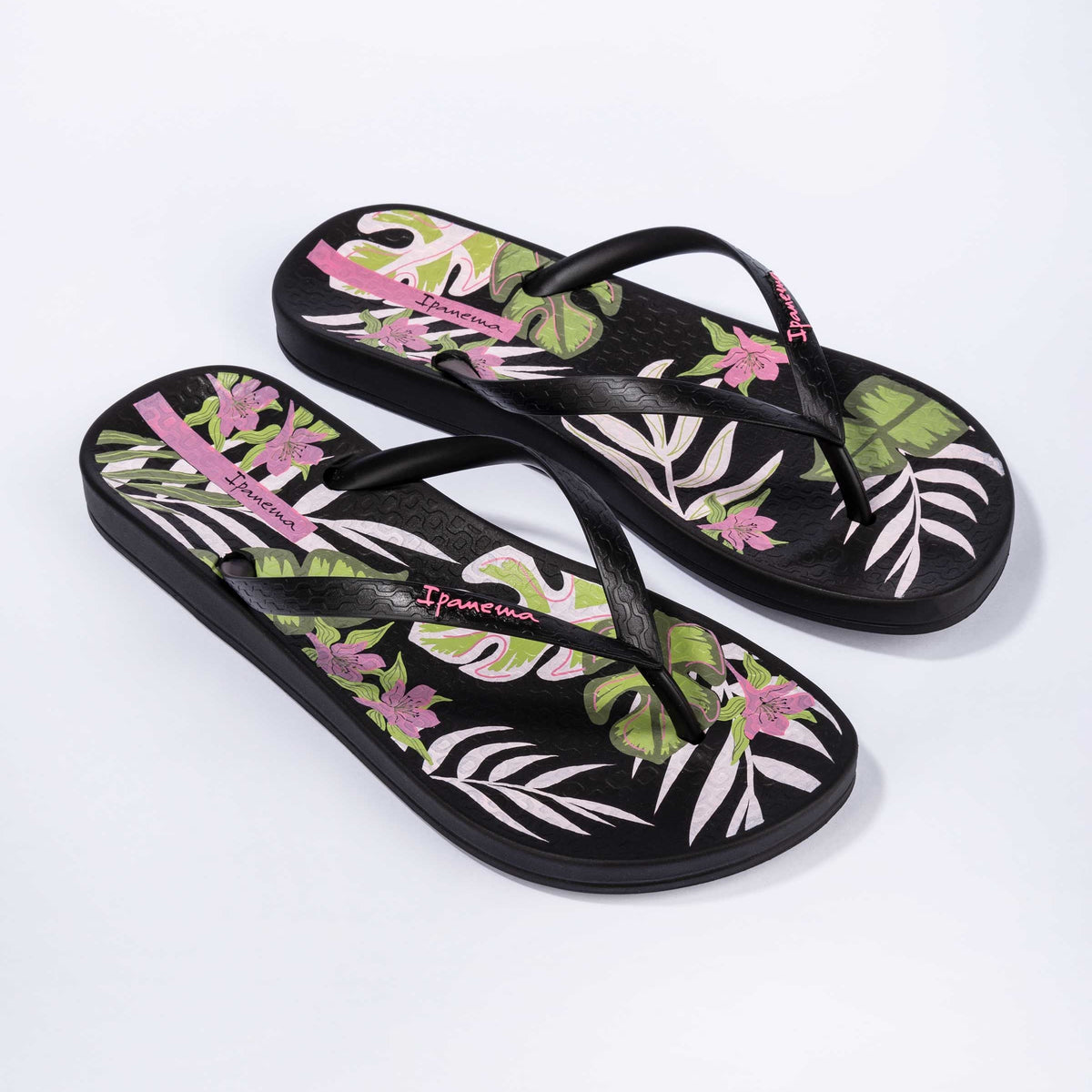 Anatomic Tropical Temas