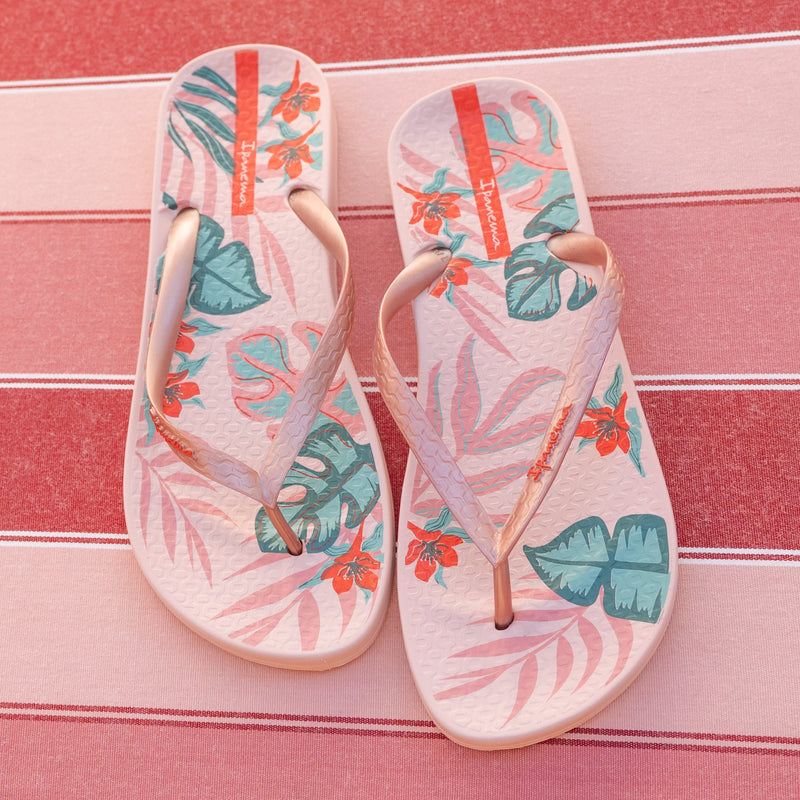 Anatomic Tropical Temas