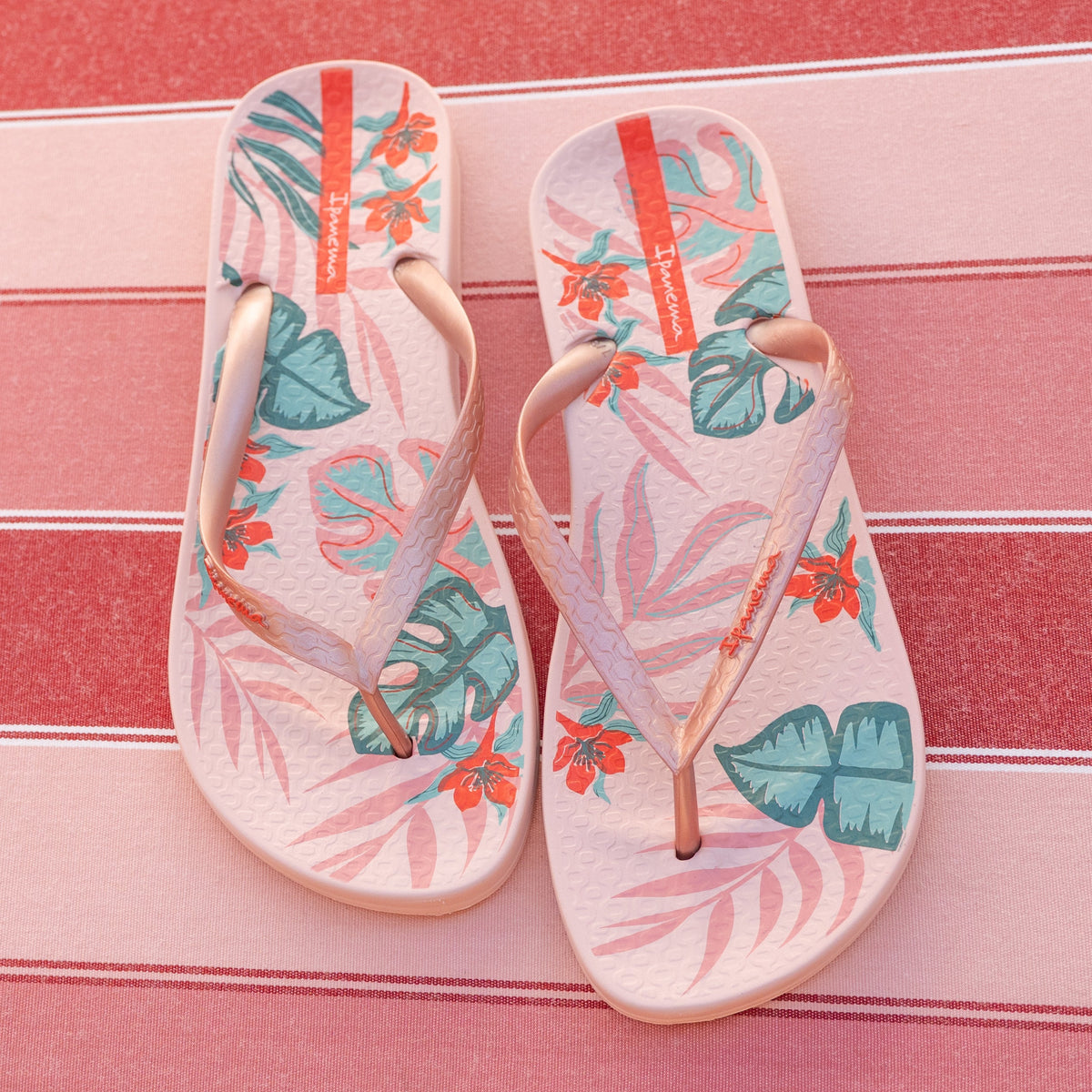 Anatomic Tropical Temas