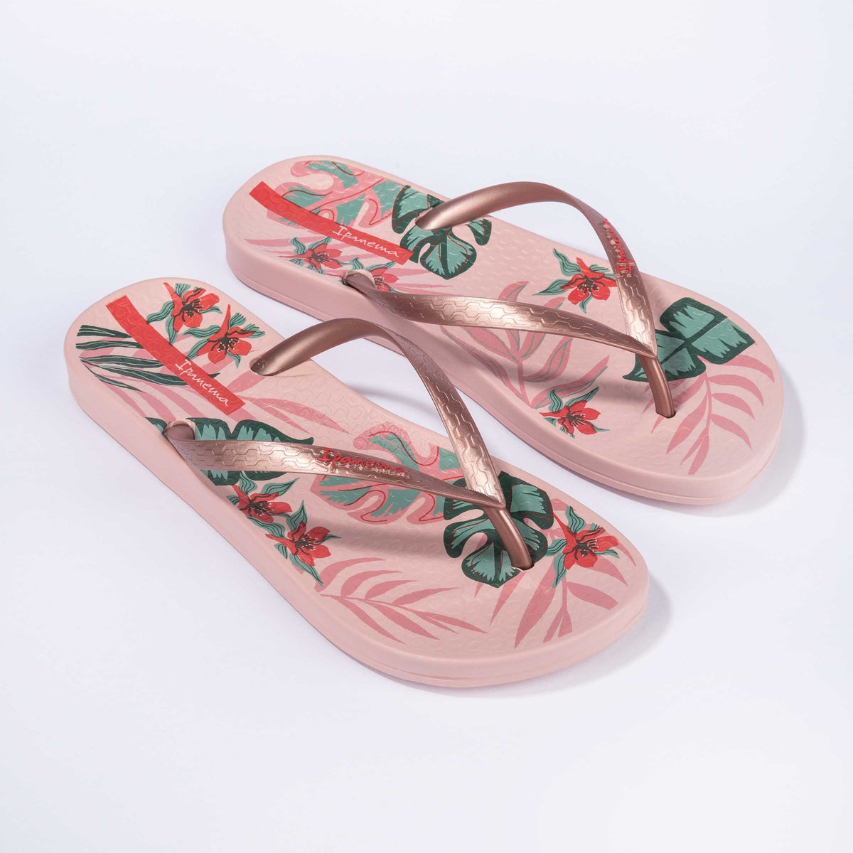 Anatomic Tropical Temas