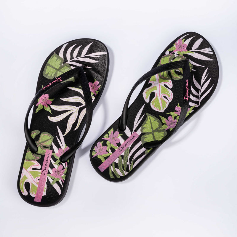 Anatomic Tropical Temas