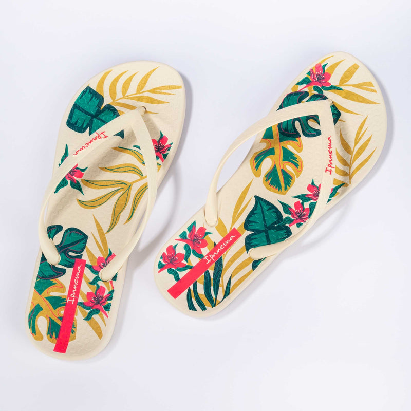 Anatomic Tropical Temas